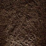 Compost Double-Screened