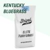 Elite Kentucky Bluegrass Seed (2 kg)