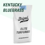 Elite Kentucky Bluegrass Seed (2 kg)